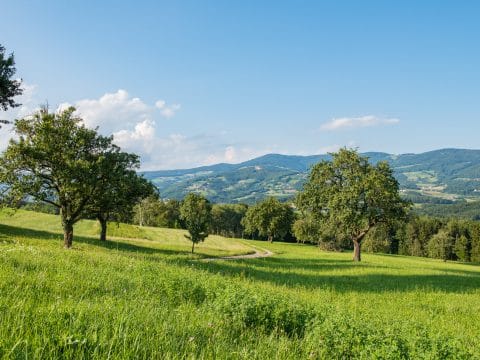 Naturpark Pöllauer Tal ©Helmut Schweighofer